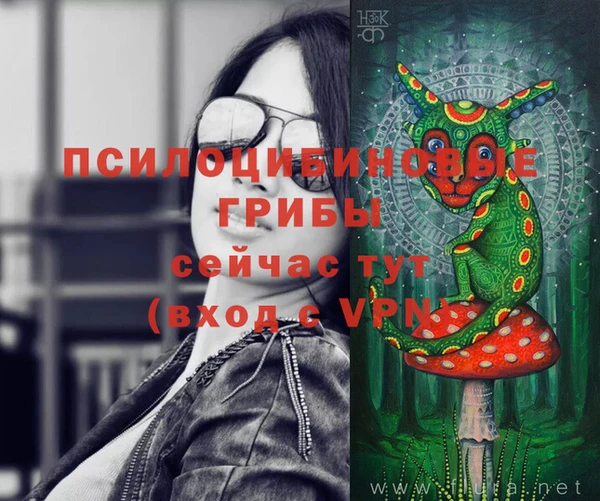 скорость Баксан