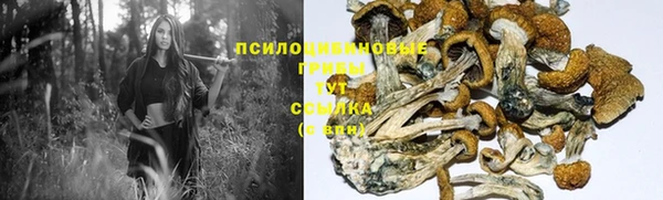 скорость Баксан